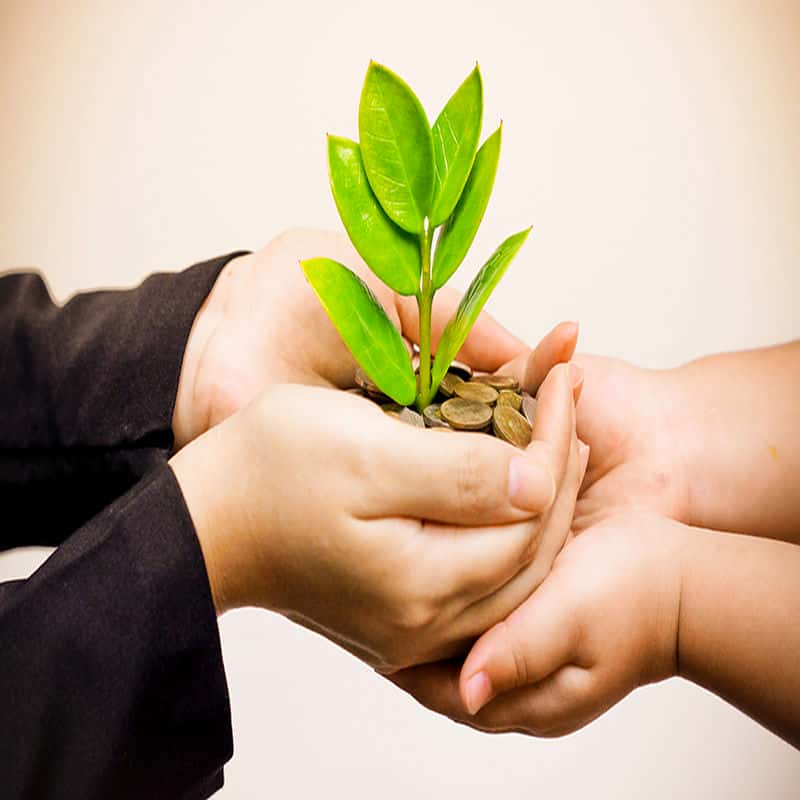 SUSTENTABILIDADE SUSTENTABILIDADE